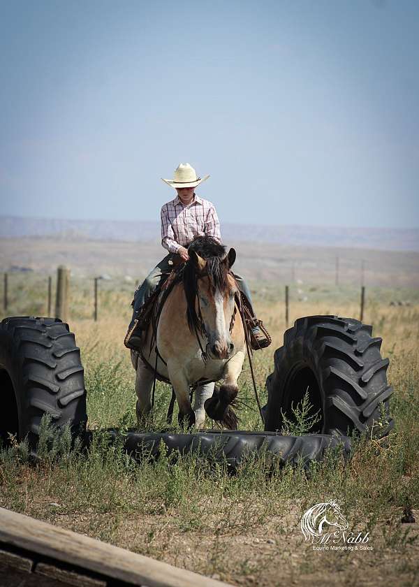 flashy-draft-horse