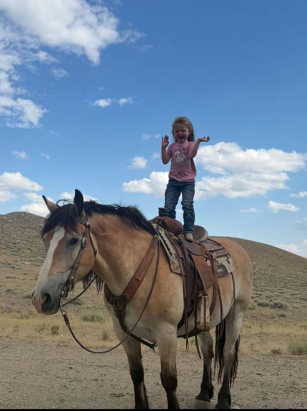 cross-draft-horse