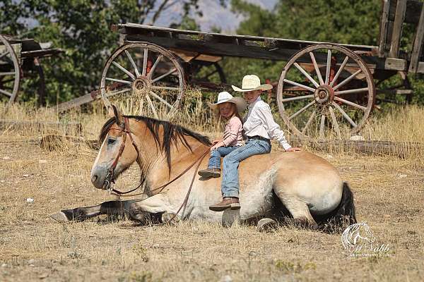 husband-safe-draft-horse
