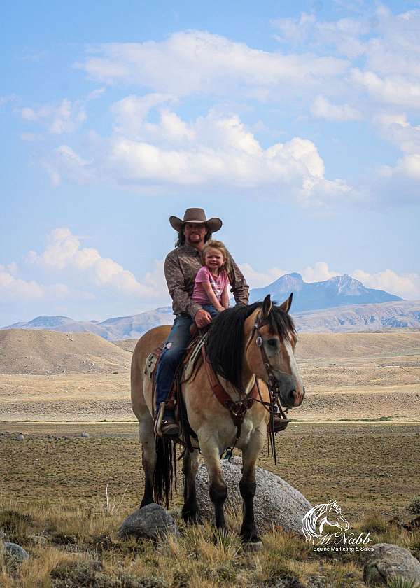 kid-safe-draft-horse