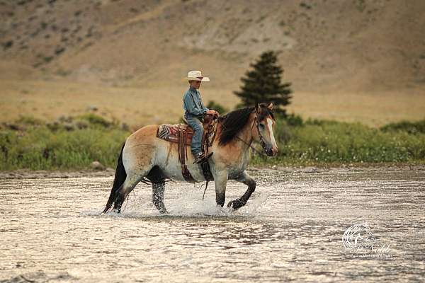 team-driving-draft-horse
