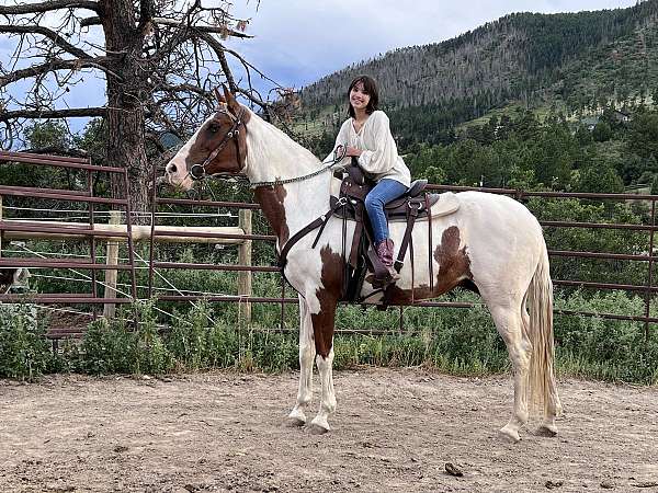endurance-tennessee-walking-horse
