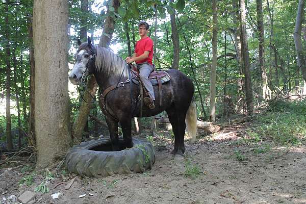 flaxen-mane-draft-horse