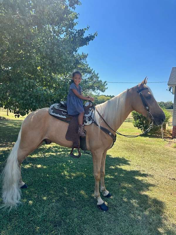 palomino-white-snip-horse
