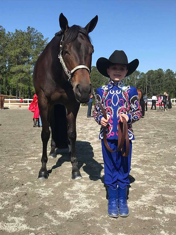quarter-horse