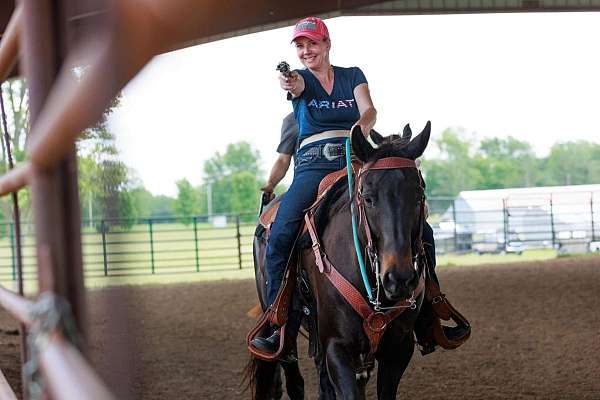 beginner-quarter-horse
