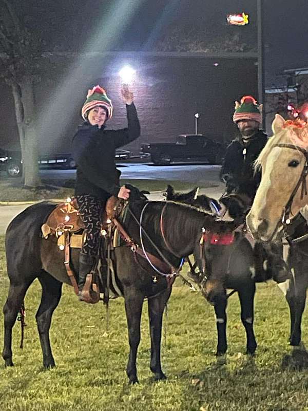 trained-quarter-horse