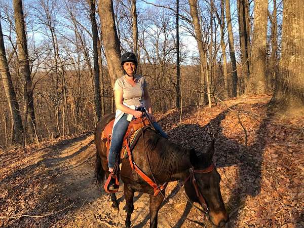 bay-trail-horse