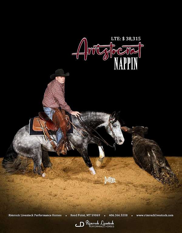 a-chic-in-time-horse