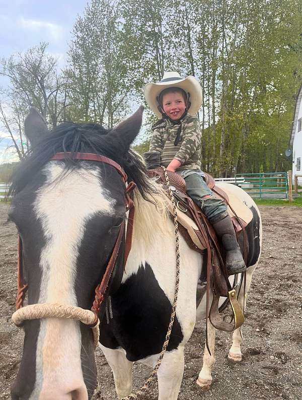 ranch-mare