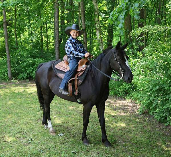 second-pony