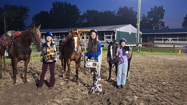 all-around-pony