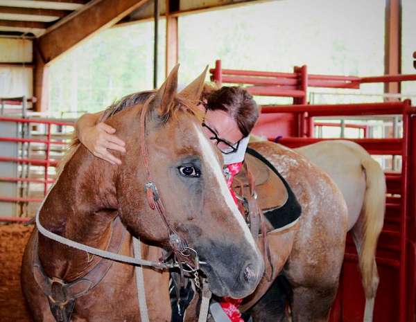 appaloosa-horse-for-sale