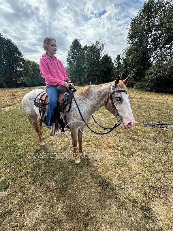 fun-show-mare