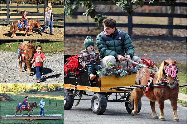 kid-safe-pony
