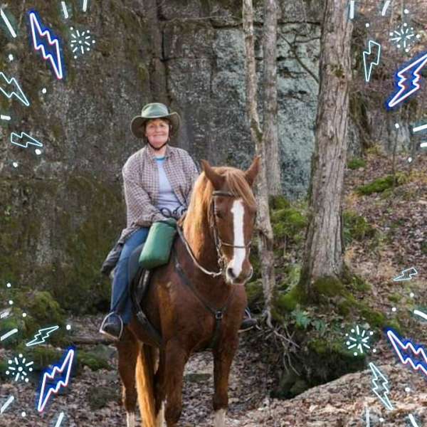rear-rocky-mountain-horse