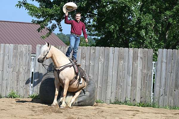jumping-quarter-pony