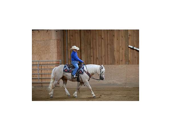 english-pleasure-quarter-pony