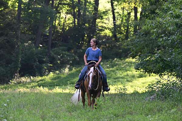 lesson-quarter-horse