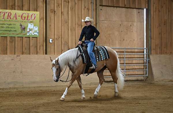 kid-safe-quarter-horse