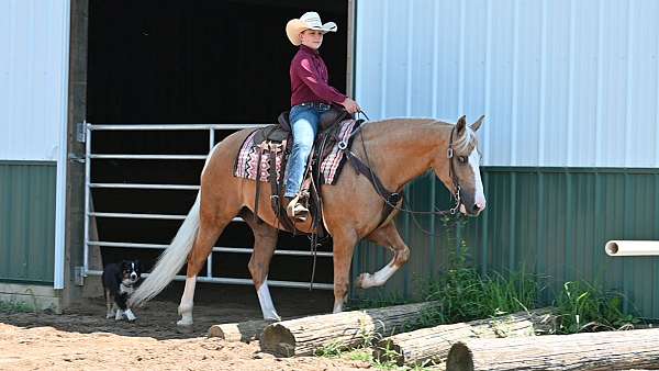 lesson-quarter-horse