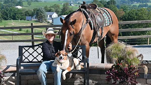 husband-safe-quarter-horse