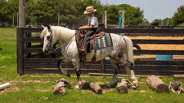 kid-safe-draft-horse