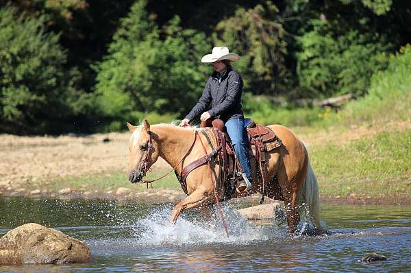 flashy-quarter-horse