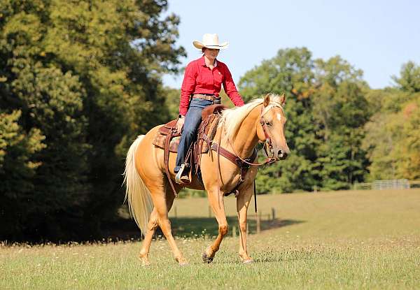 athletic-quarter-horse