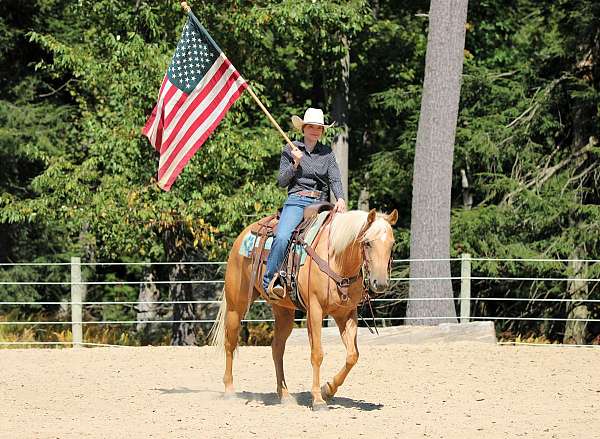 ranch-quarter-horse