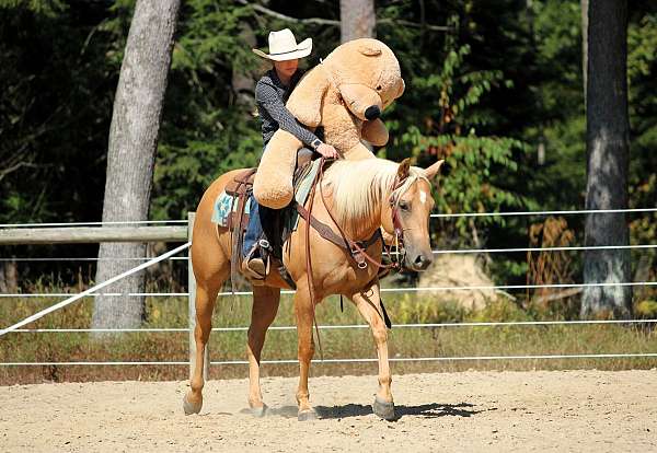 ranch-versatility-quarter-horse
