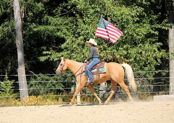 roping-quarter-horse