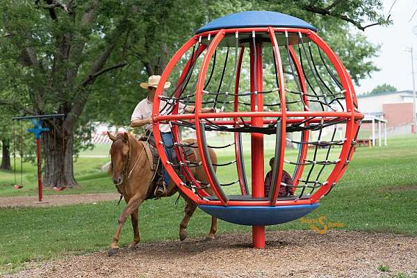 ranch-versatility-quarter-horse