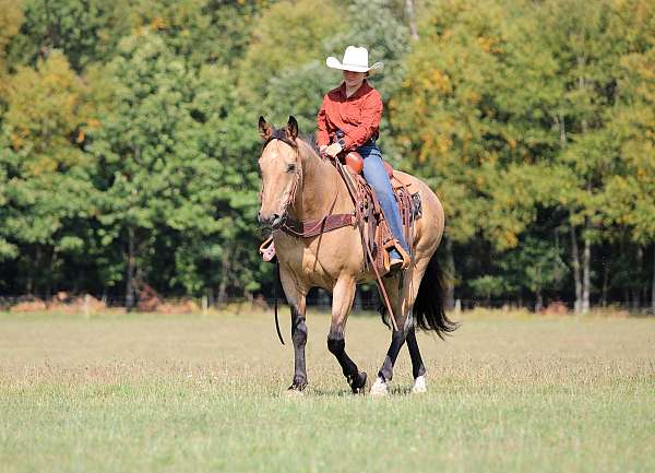 ranch-versatility-quarter-horse