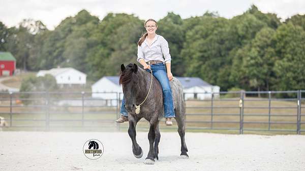 ranch-work-draft-horse