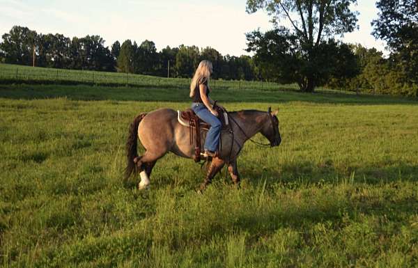 cross-draft-horse