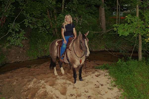 draft-horse