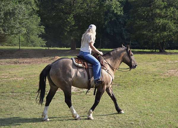 flashy-draft-horse