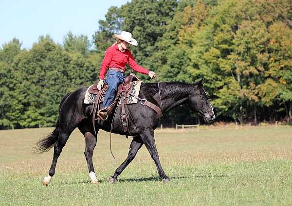 athletic-quarter-horse