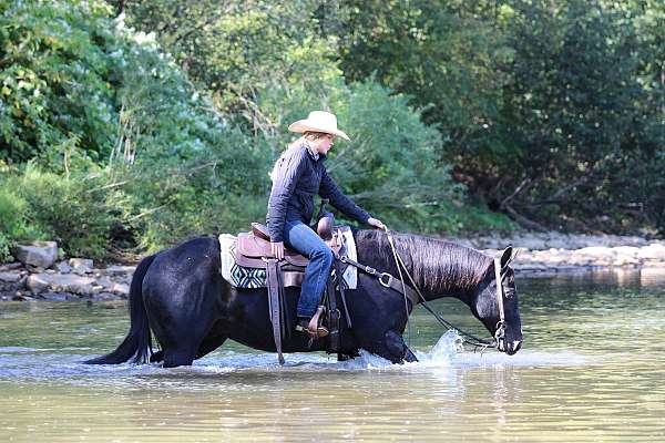 ranch-work-quarter-horse