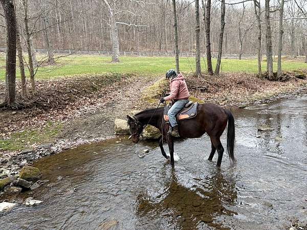 2-in-1-horse