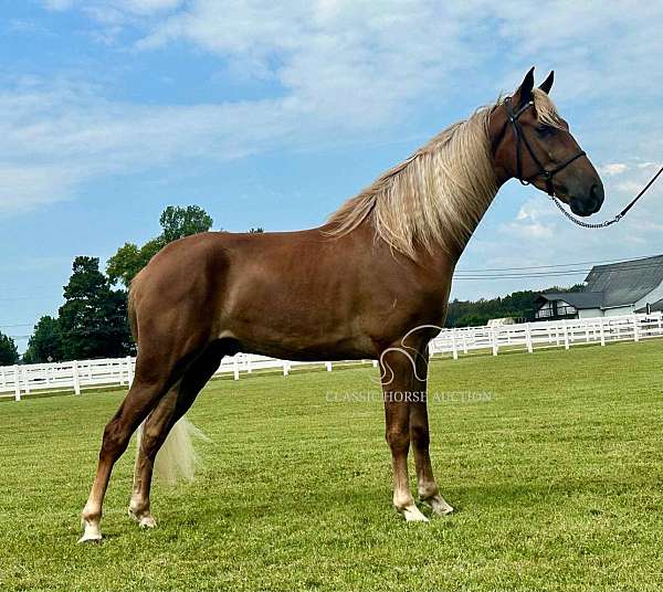 farm-equipment-safe-horse