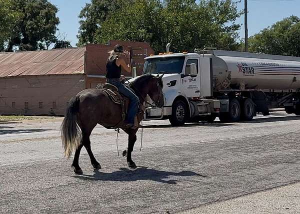 ranch-draft-horse