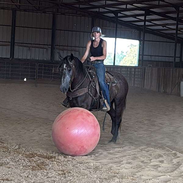 ranch-versatility-draft-horse