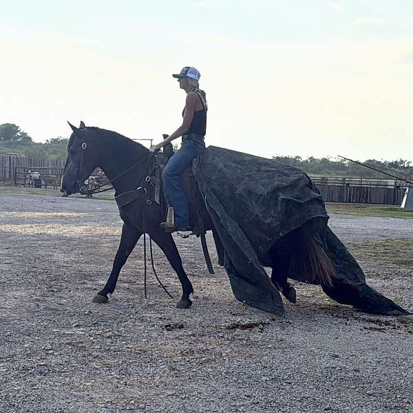 ranch-work-draft-horse