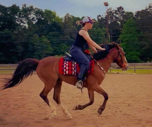 barrel-racing-tennessee-walking-pony