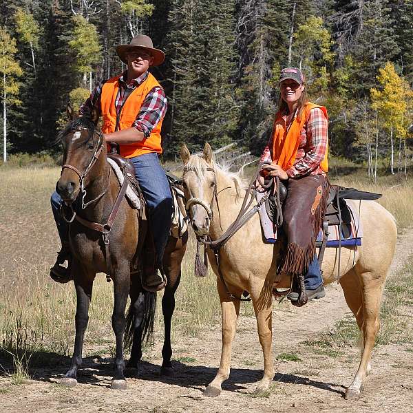 ranch-versatility-mare-foal