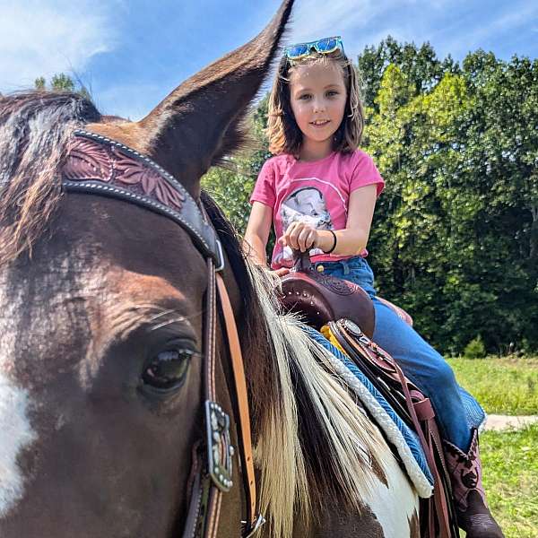 kids-friendly-horse