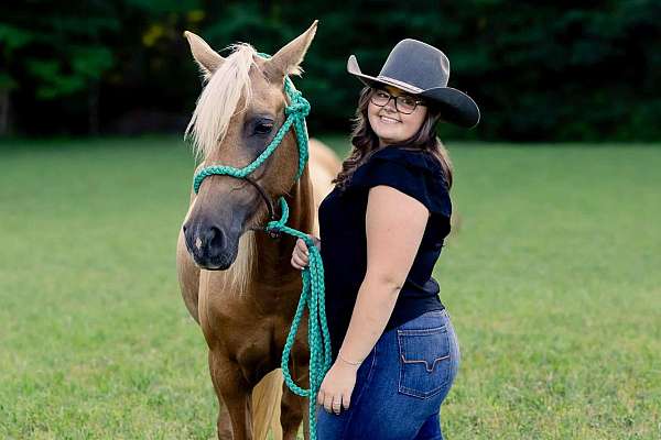 kid-safe-quarter-horse