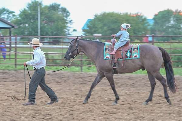 kid-safe-quarter-horse